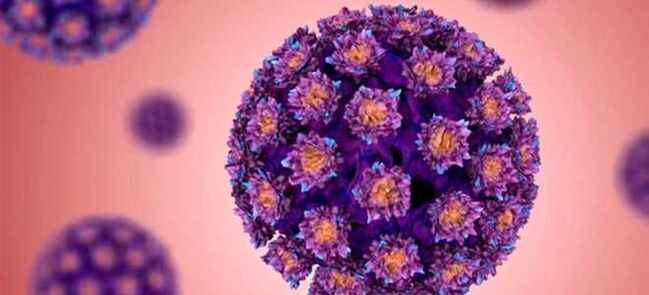មេរោគ HPV - មេរោគ Papillomavirus របស់មនុស្ស